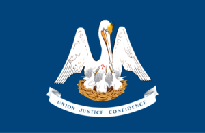 Louisiana Tort Reform