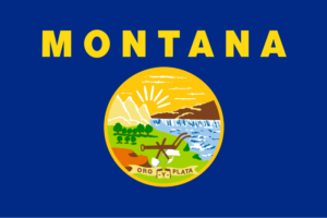 Montana Tort Reform