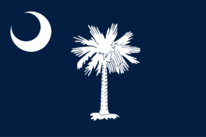 South Carolina Tort Reform