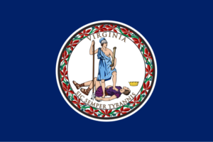 Virginia Tort Reform