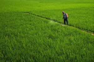 Paraquat lawsuit
