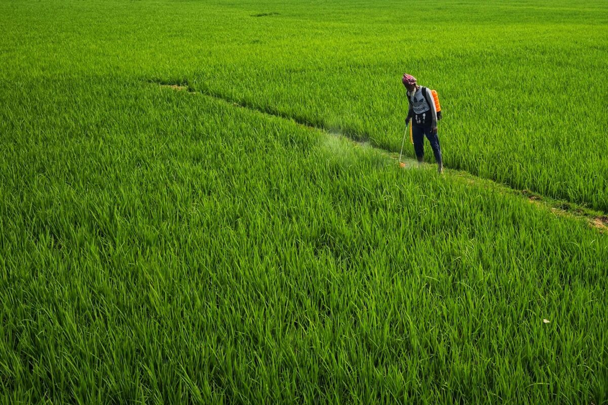 Paraquat lawsuit