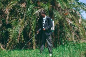 Roundup lawsuit