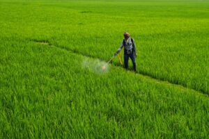 Roundup vs Paraquat lawsuit