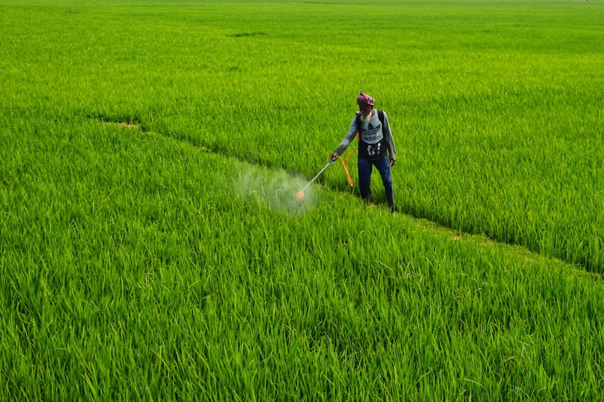 Roundup vs Paraquat lawsuit